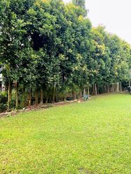 Bin Tong Park (D10), Detached #460160441